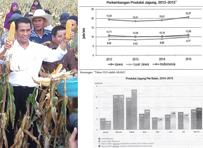 Produksi Jagung 2015 Capai 20,67 Juta Ton